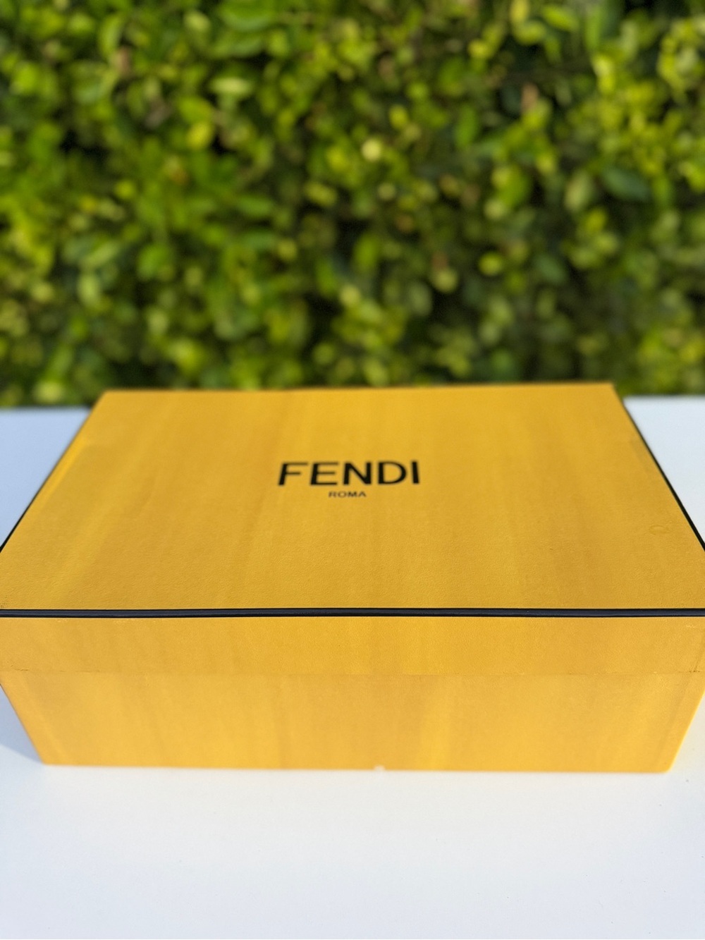 Fendi Luxury Gift Box Storage Box